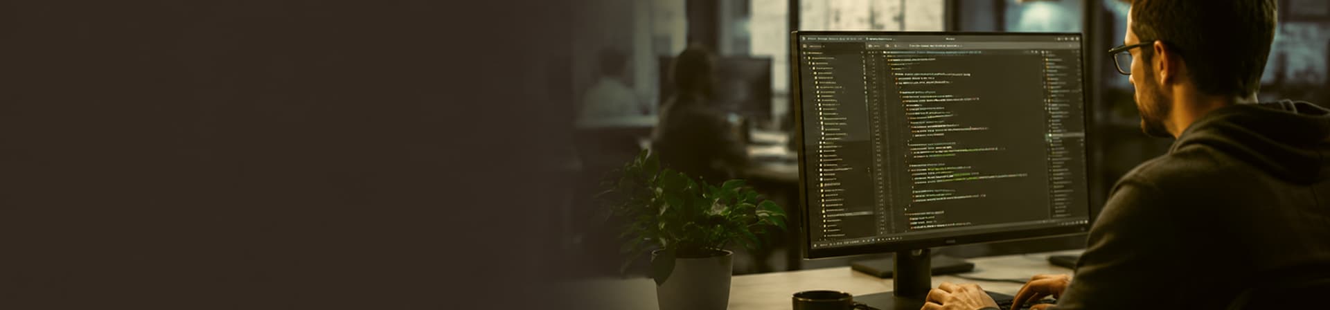 Custom software development services